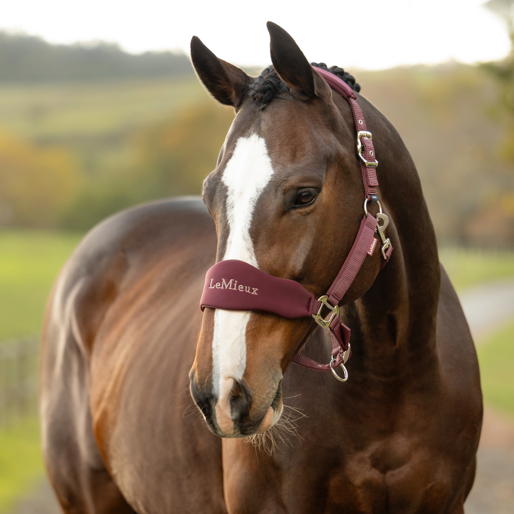 LeMieux Breakaway Vogue Headcollar & Leadrope - Bramble