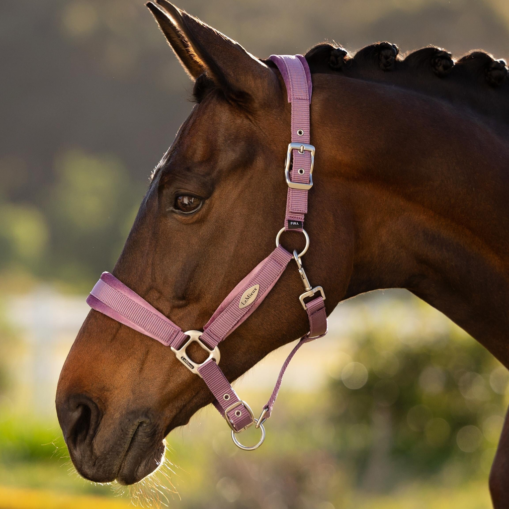 LeMieux Versailles Headcollar - Mallow