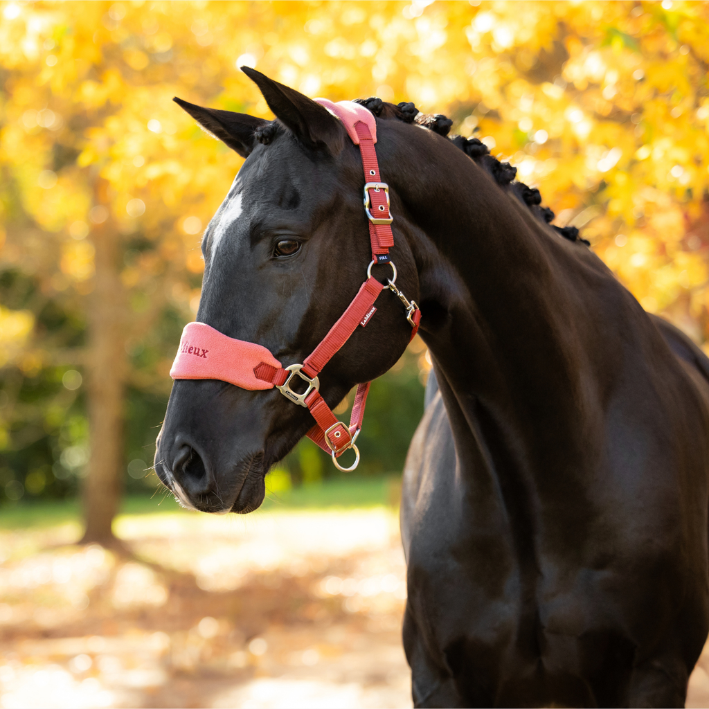 LeMieux Vogue Headcollar & Leadrope - Russet