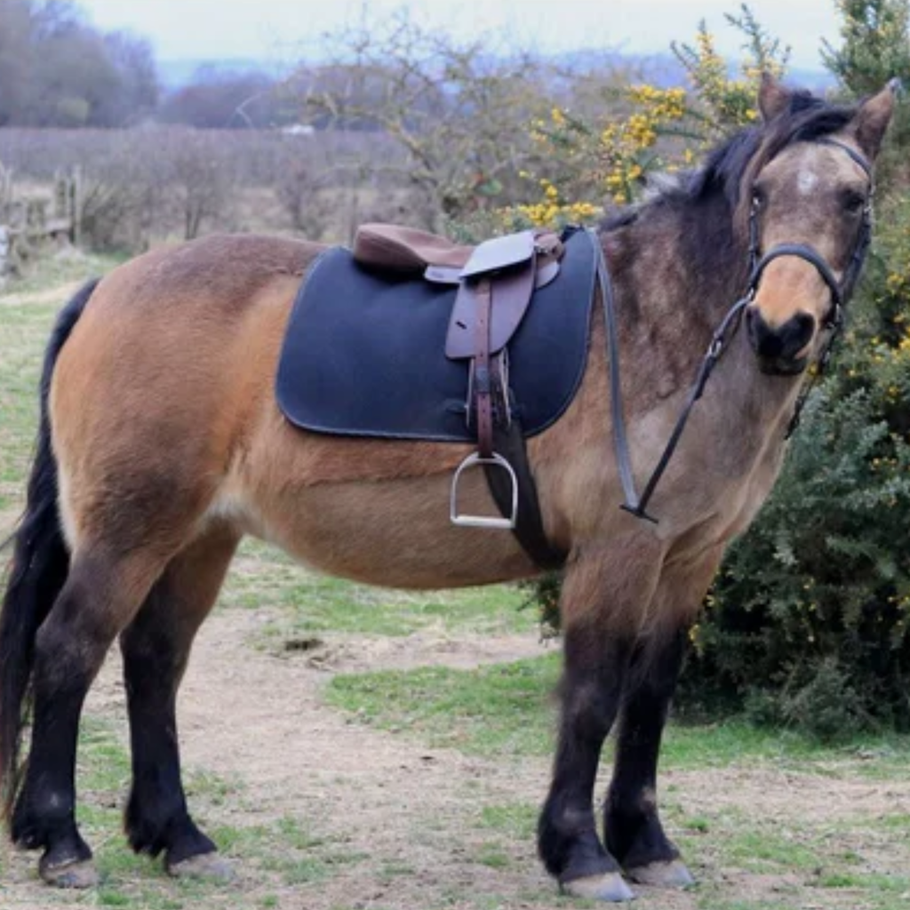 Total Contact Saddles Synthetic Saddle Seat Pad - Brown