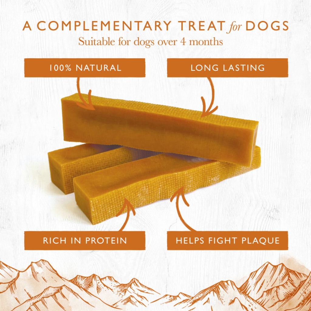 Eden Medium Pumpkin Milk Chew