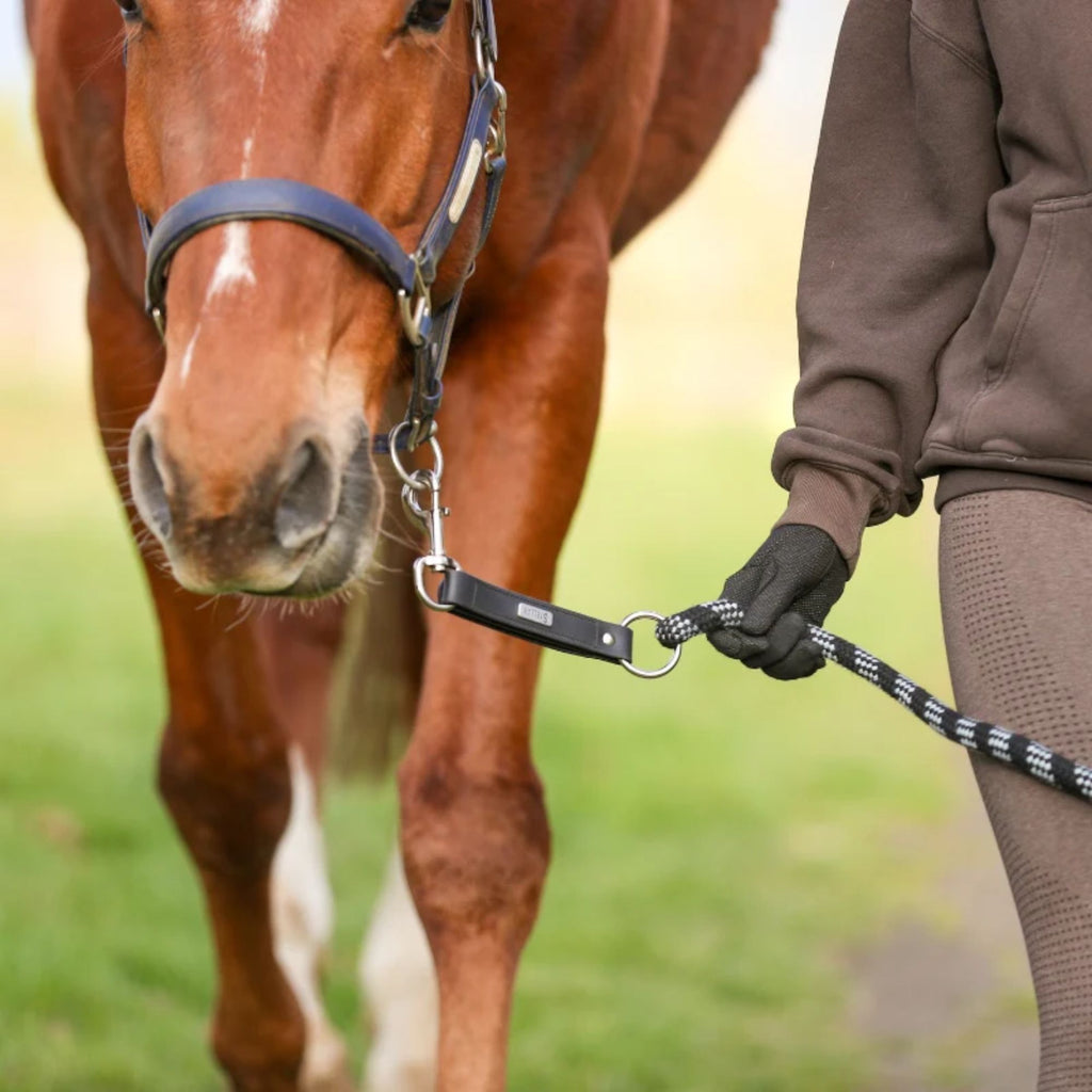 Equilibrium Stellar Safety Leadrope