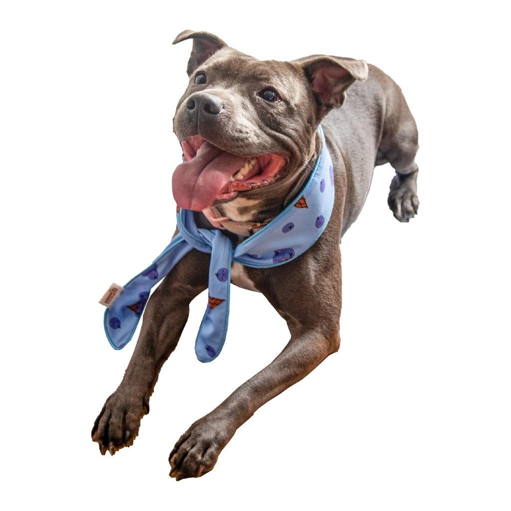 Rosewood Cooling Neckerchief