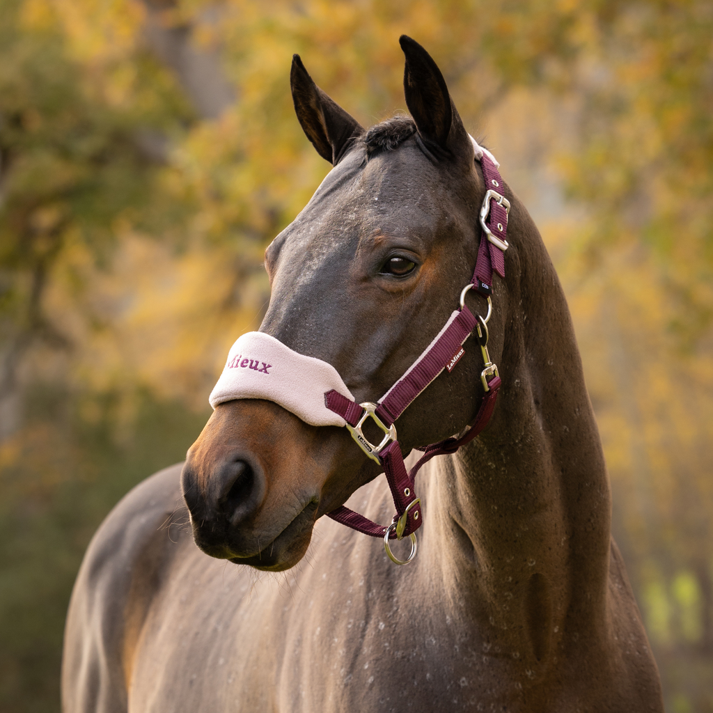 LeMieux Vogue Headcollar & Leadrope - Blackberry