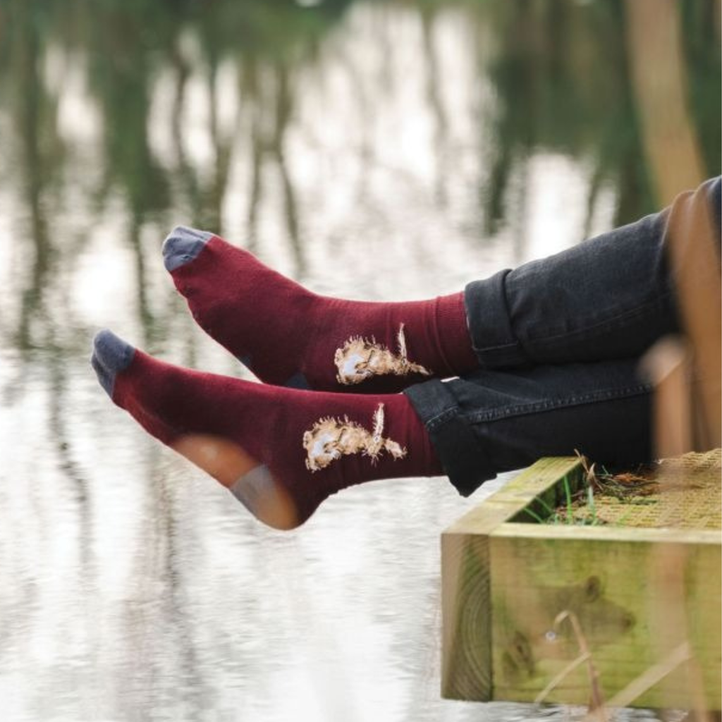 Wrendale Mens Sock - The Hare