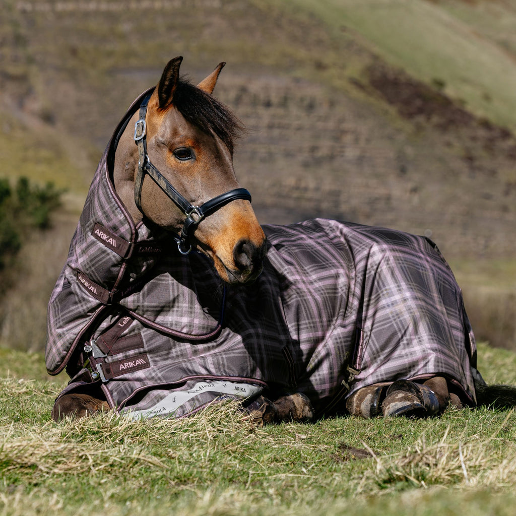 LeMieux Arika Check 100g Turnout Rug - Cocoa