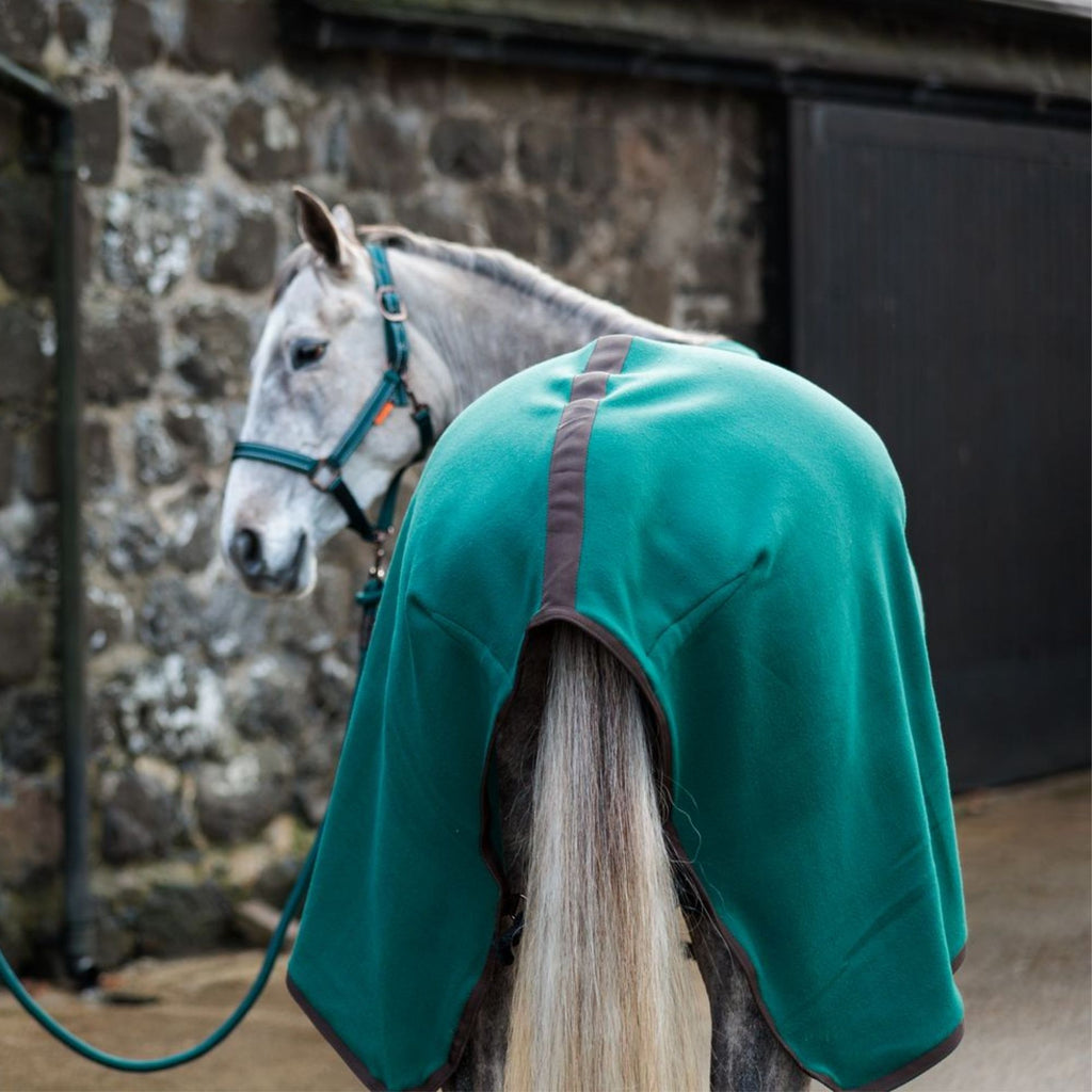 Cameo Fleece Show Rug - Evergreen