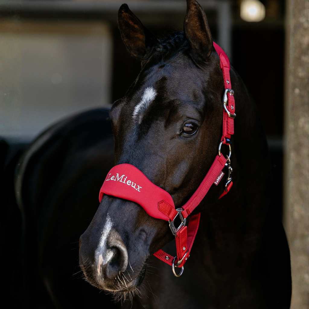 LeMieux Breakaway Vogue Headcollar - Chilli