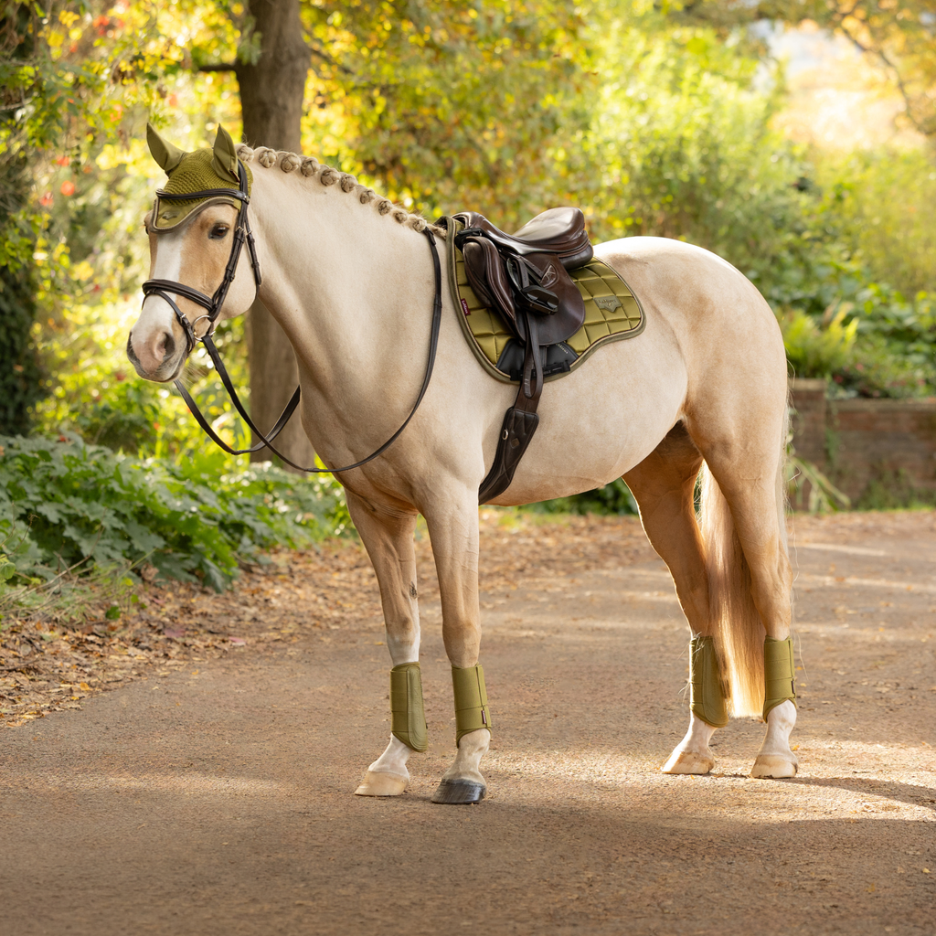 LeMieux Loire Classic GP Square - Gooseberry