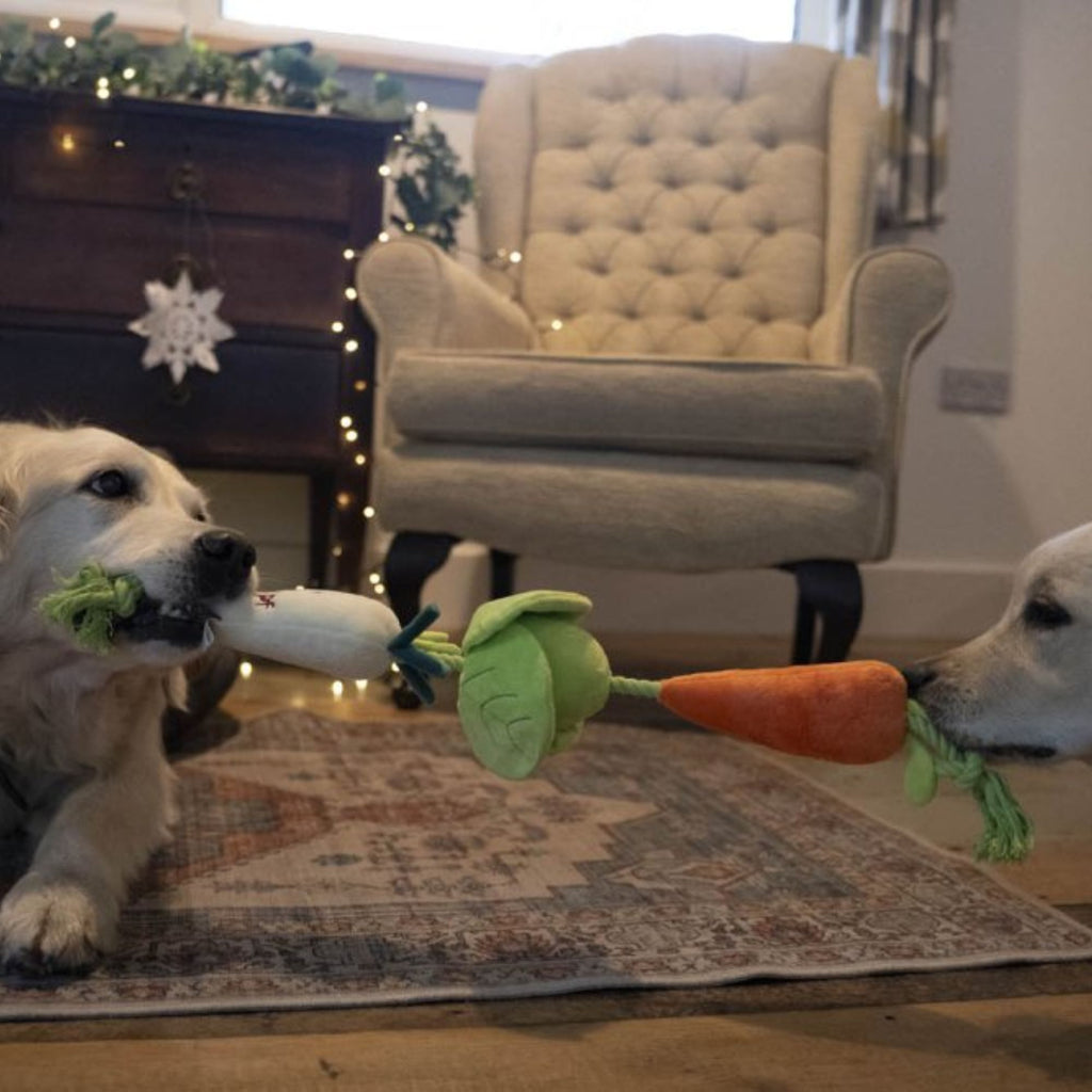 Petface Foodie Faces Christmas Veggie Tugger Plush and Rope Dog Toy