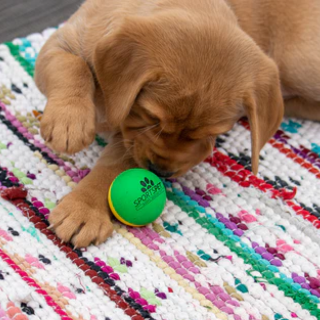 Sports Pet Mini Bounce Ball