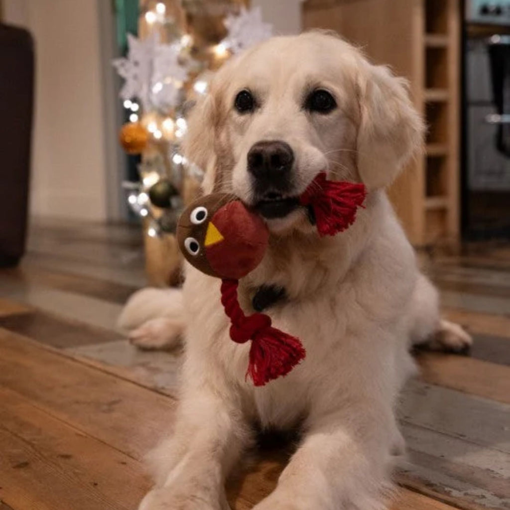 Petface Ryan Robin with Rope Plush Christmas Dog Toy