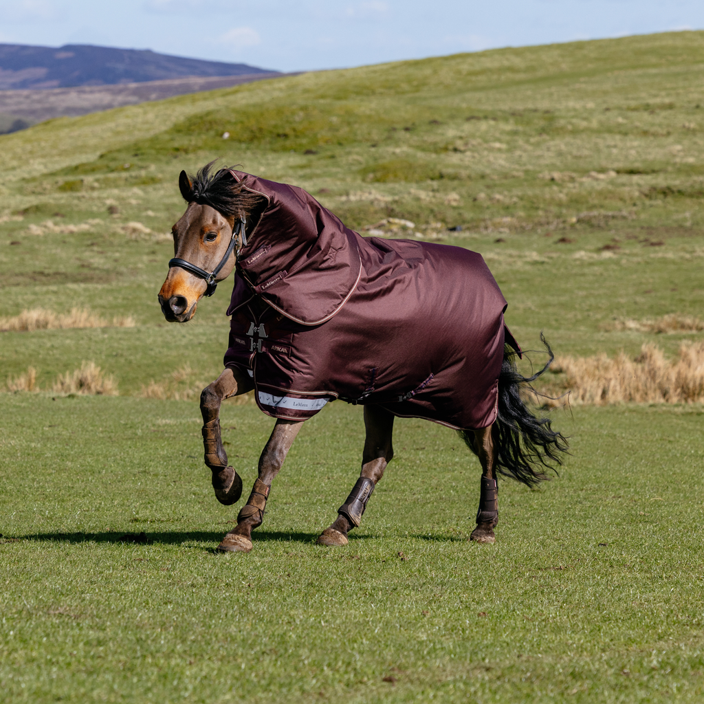 LeMieux Arika Ripstop 100g Turnout Rug - Bramble