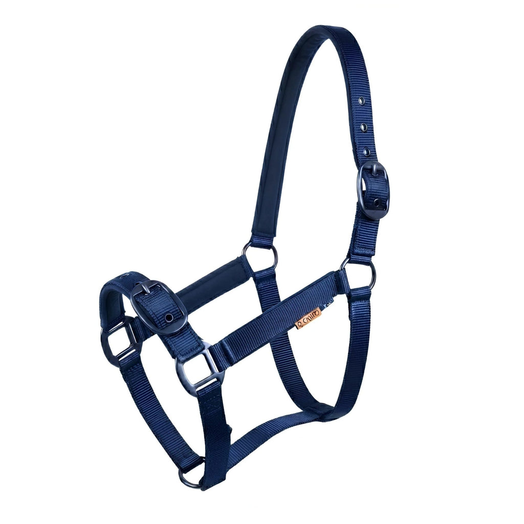 Cameo Suede Padded Headcollar - Navy