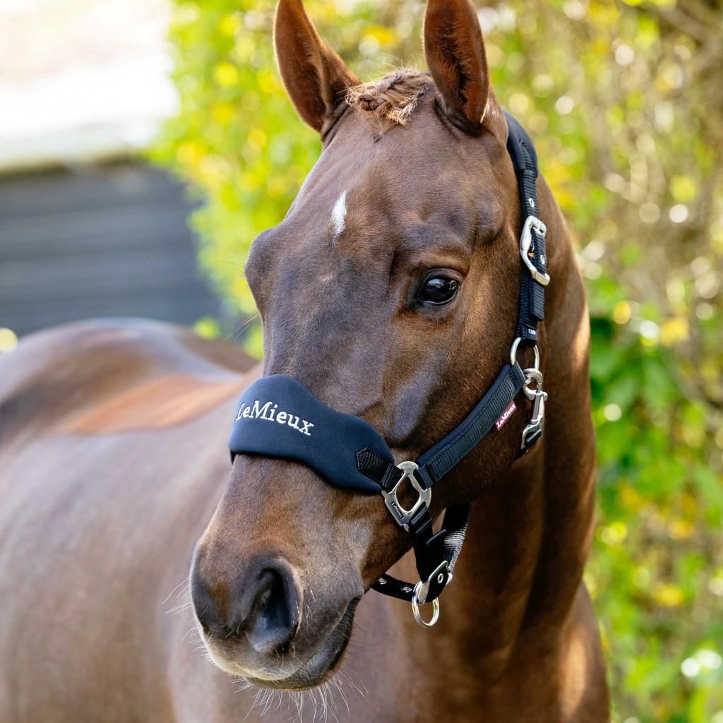 LeMieux Breakaway Vogue Headcollar - Black