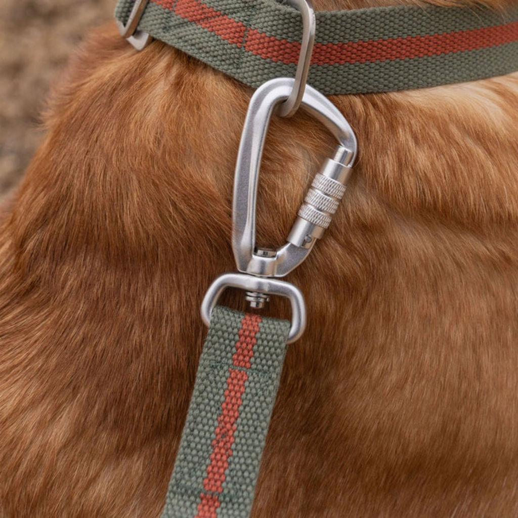 Ruff & Tumble All-Terrain Lead - Khaki/Chestnut