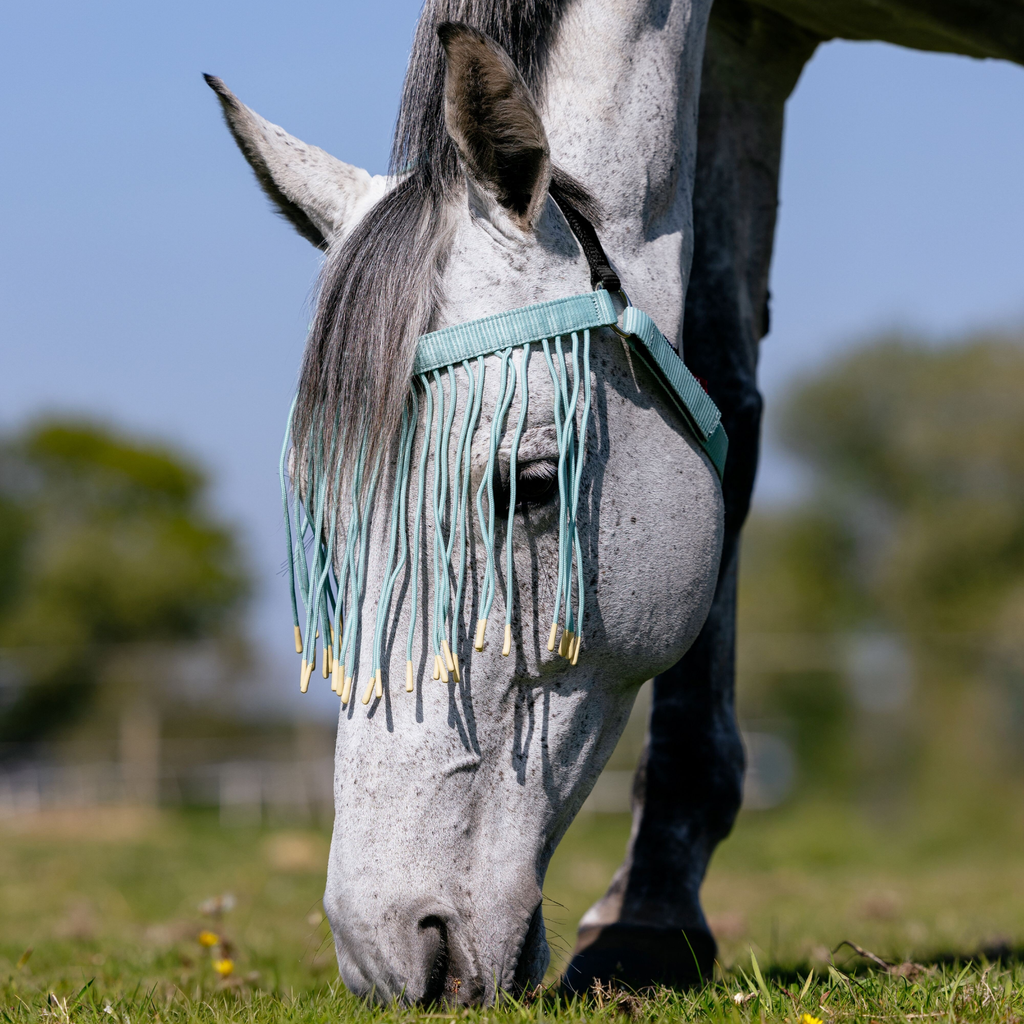 LeMieux Fly Fringe - Aqua