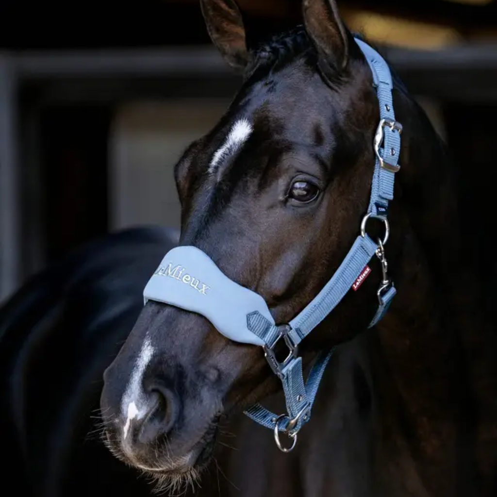 LeMieux Breakaway Vogue Headcollar - Ice Blue