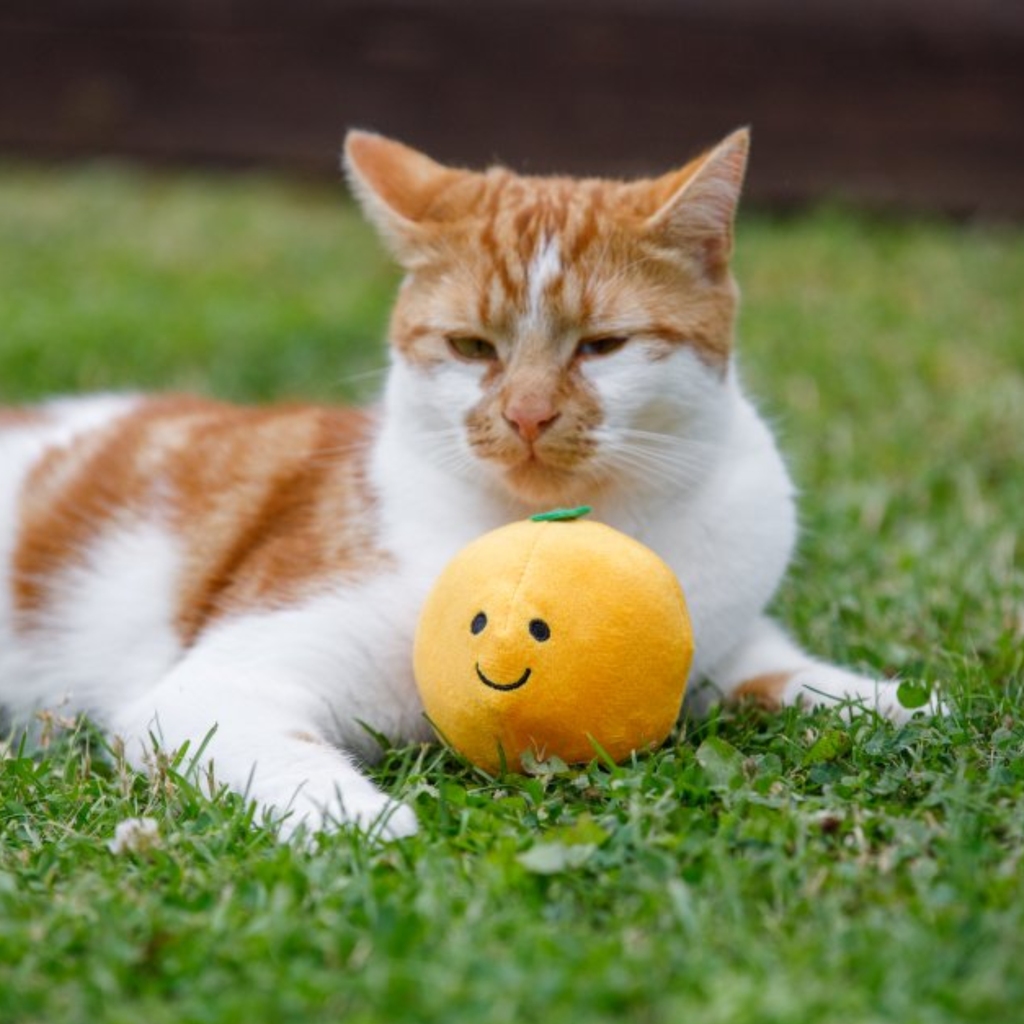 Petface Orange Plush Cat Toy