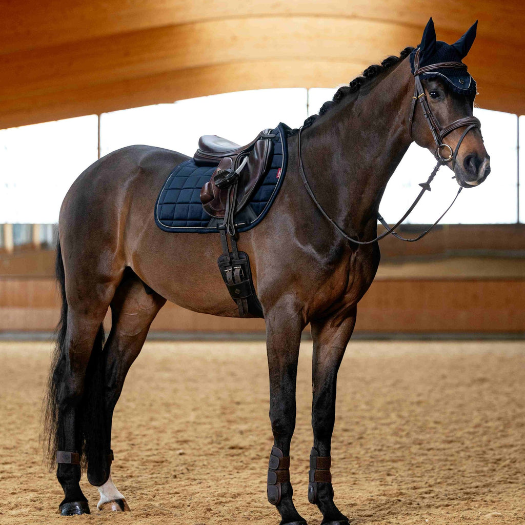 LeMieux Lustre Jump Square - Sapphire