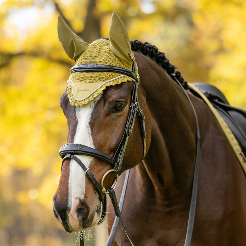 LeMieux Classic Fly Hood - Gooseberry