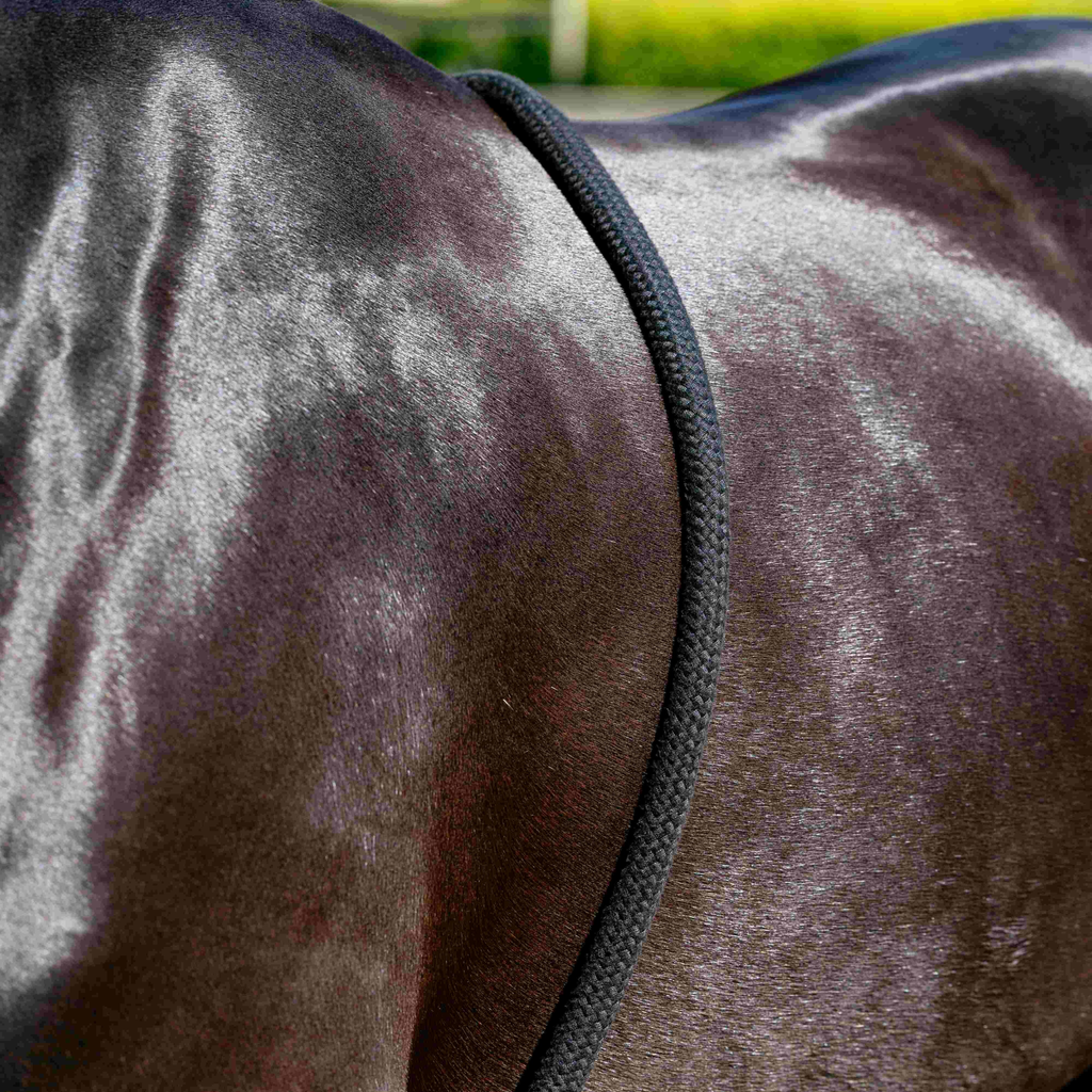 LeMieux Rope Lunging Aid - Black