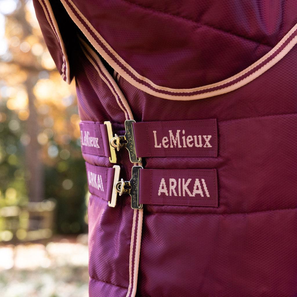 LeMeiux Arika Stable-Tek with Neck 200g - Blackberry