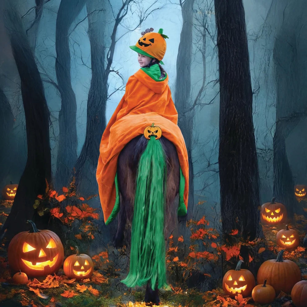 Equetech Patch Pumpkin Hat Silk