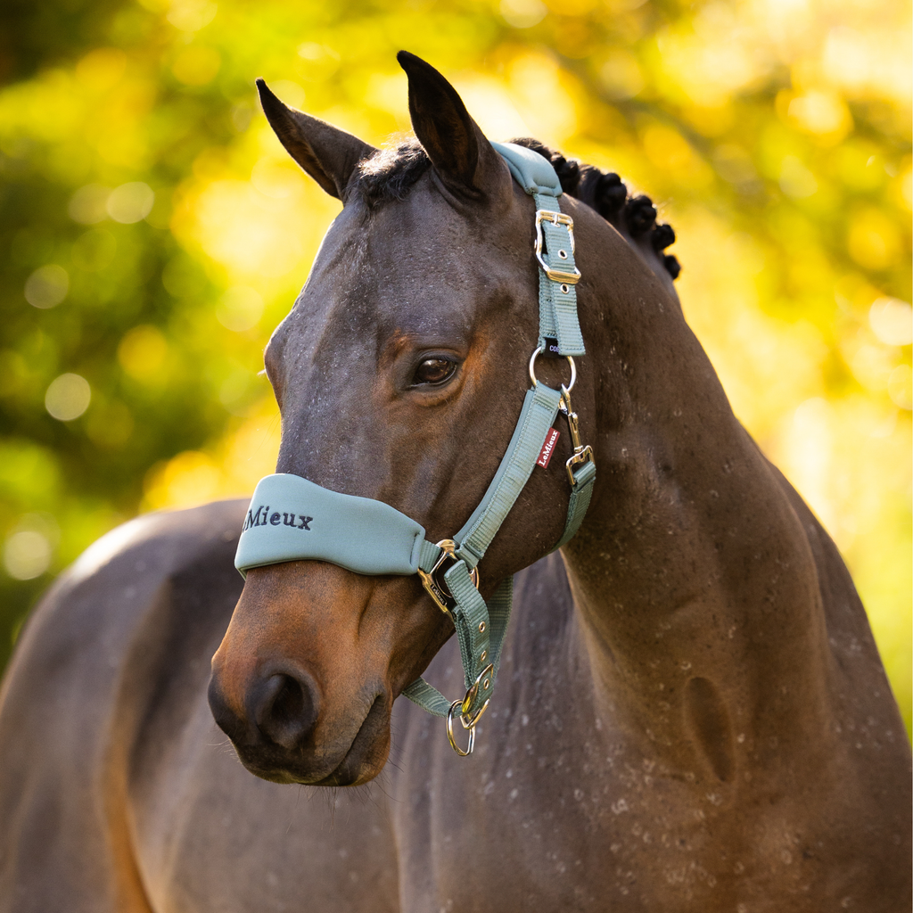 LeMieux Breakaway Vogue Headcollar & Leadrope - Aloe
