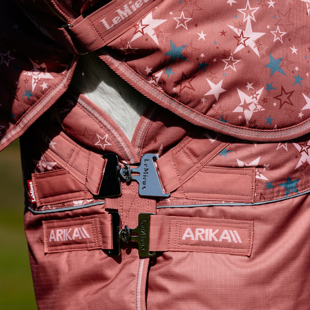 LeMieux Arika Star Turnout Rug 0g - Spiced Earth