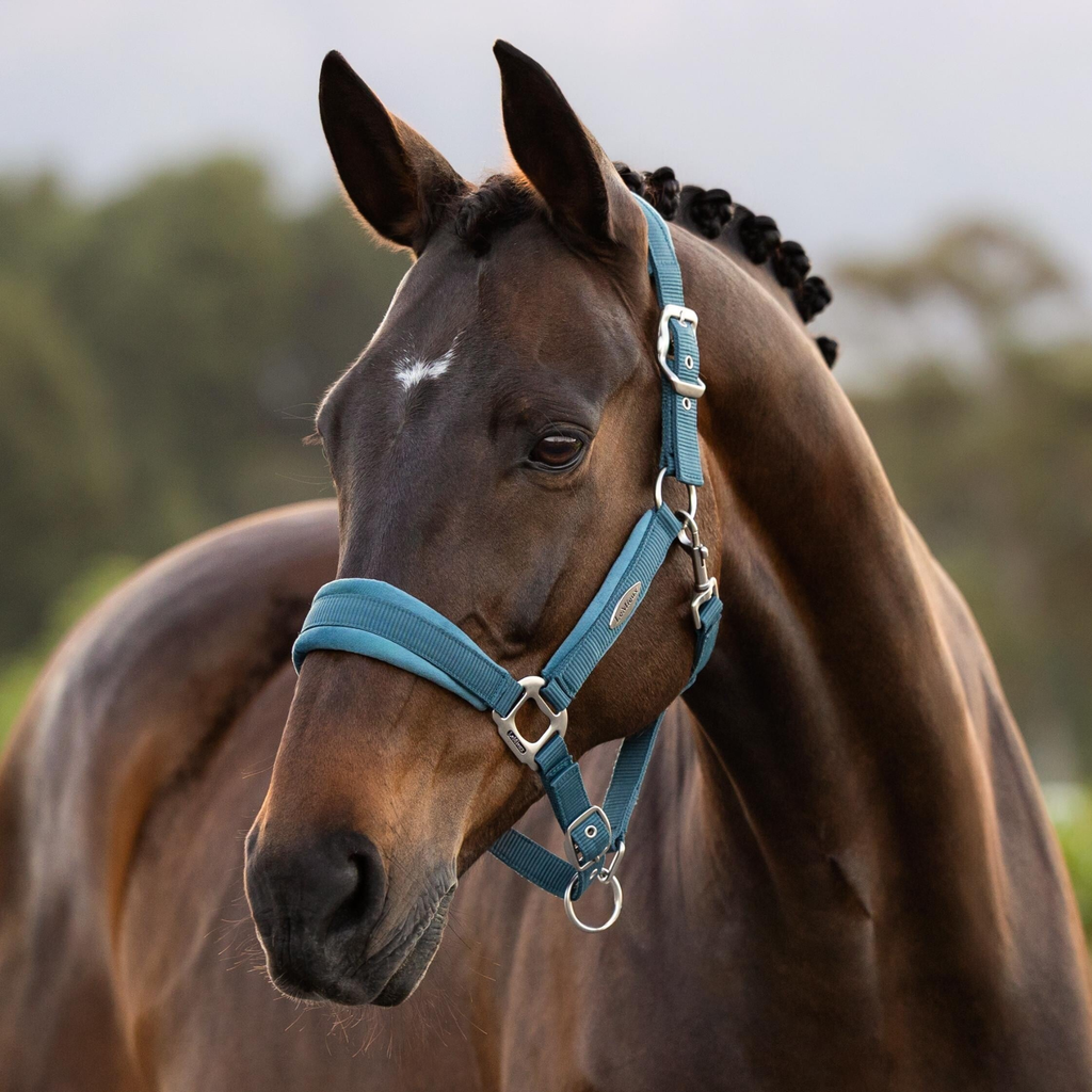 LeMieux Versailles Headcollar - Jungle