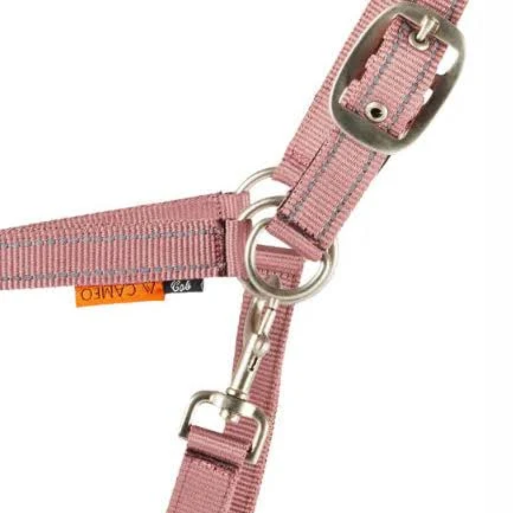 Cameo Fieldsafe Headcollar- Dusky Pink