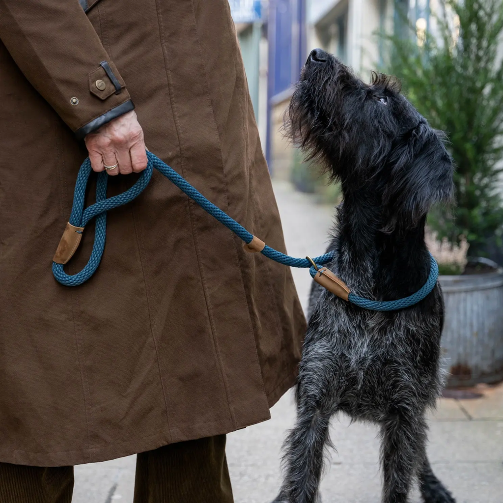 Ruff & Tumble Thick Slip Lead - Sandringham Blue