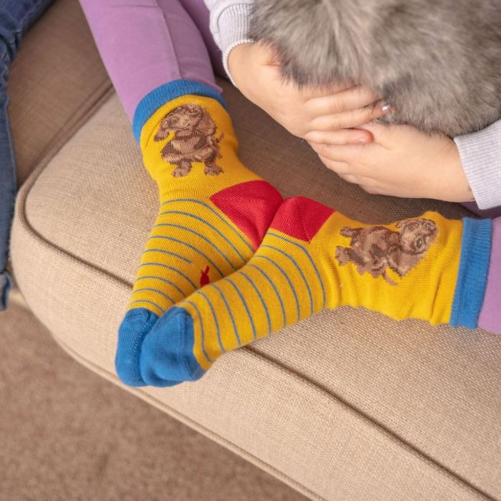 Wrendale Childrens Dachshund Socks - Little One