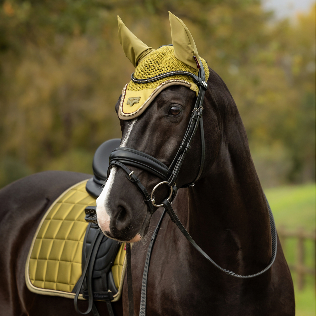 LeMieux Loire Fly Hood - Gooseberry