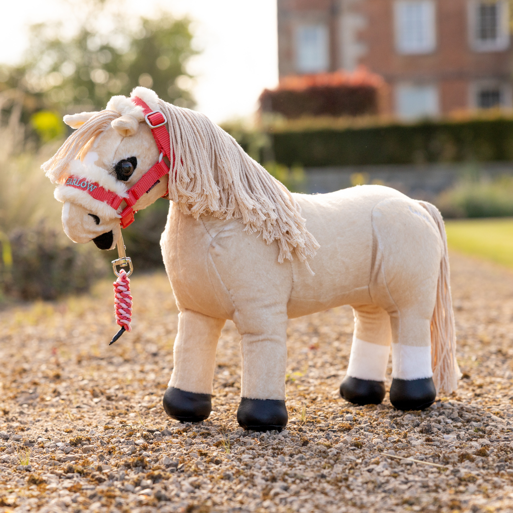 LeMieux Harlow Toy Pony Headcollar & Leadrope - Coral Crush