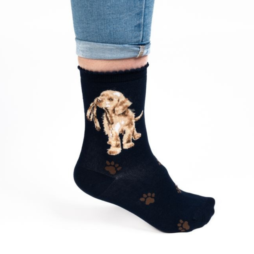 Wrendale Dog Sock - Hopeful