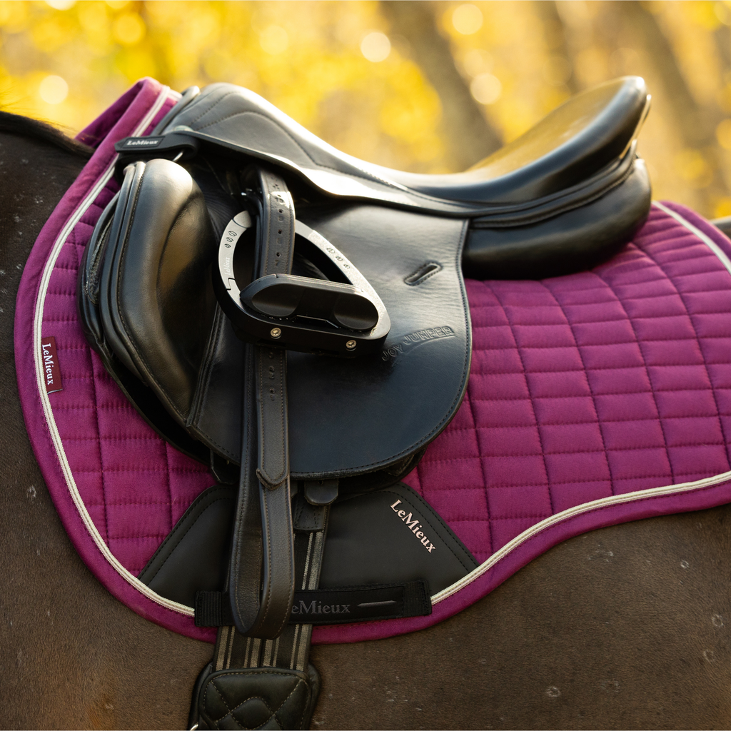 LeMieux Suede Close Contact Square - Blackberry