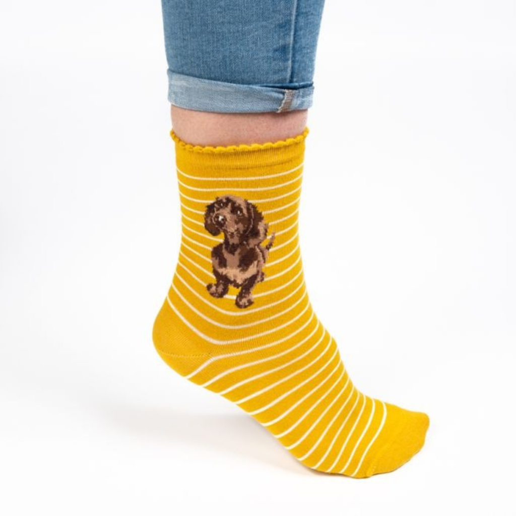 Wrendale Dog Sock - Little One