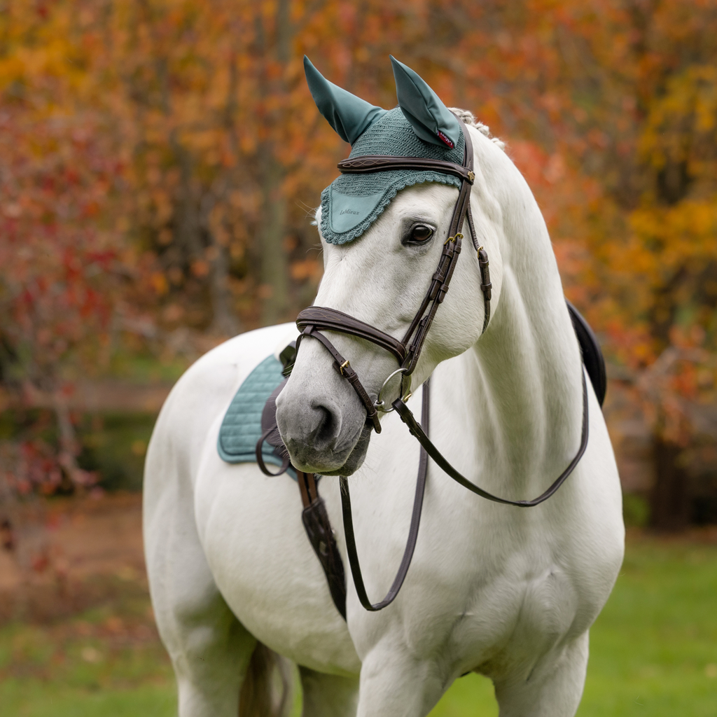 LeMieux Classic Fly Hood - Aloe