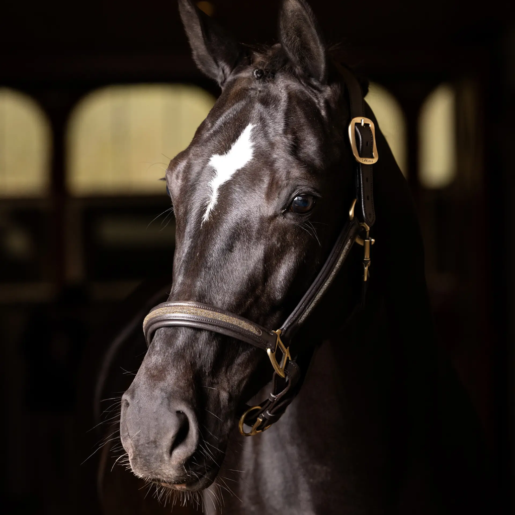 LeMieux Leather Crystal Headcollar - Brown