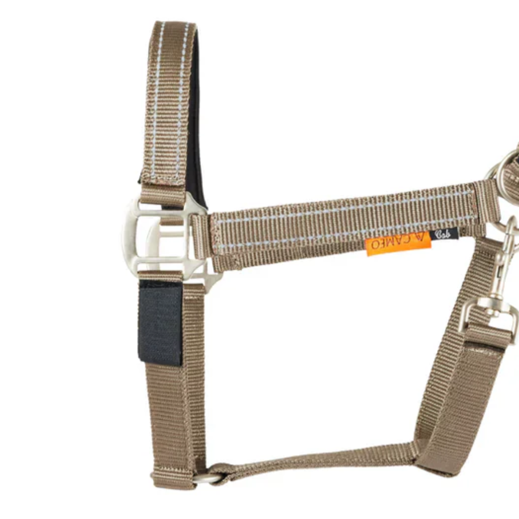 Cameo Fieldsafe Headcollar- Mocha