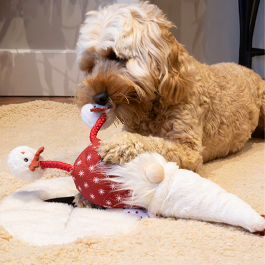 Rosewood Greg Gonk Dog toy