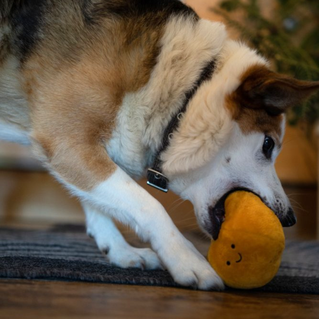 Petface Saski Satsuma Plush Christmas Dog Toy