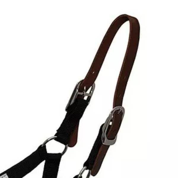 Breakaway Halter Replacement - Pony/Cob