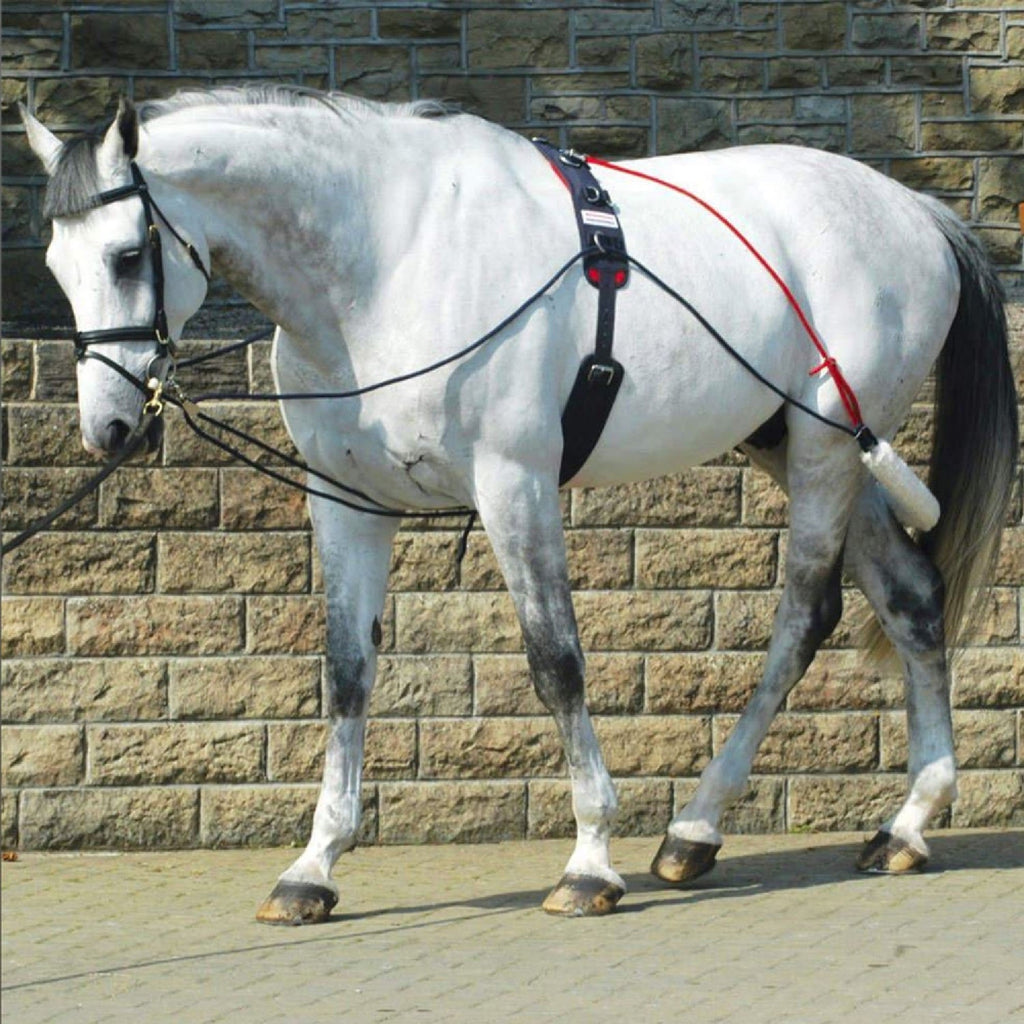 John Whitaker Training System