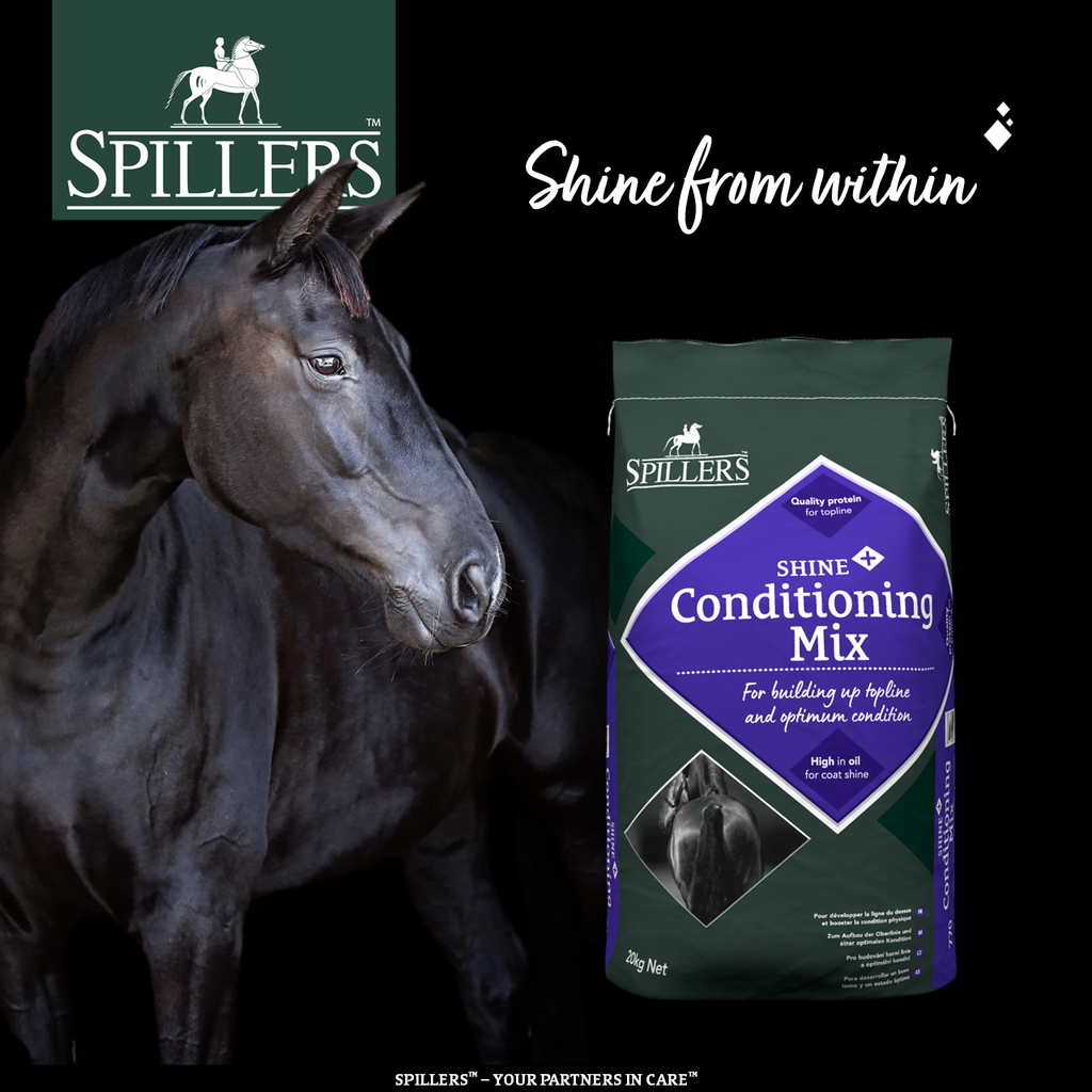 Spillers Shine+ Conditioning Mix - 20kg