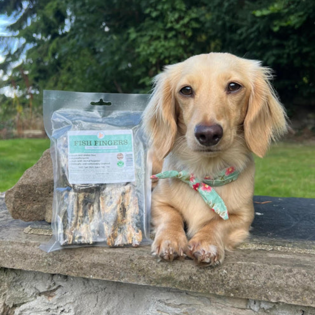 JR Pet Products Cod Fish Fingers