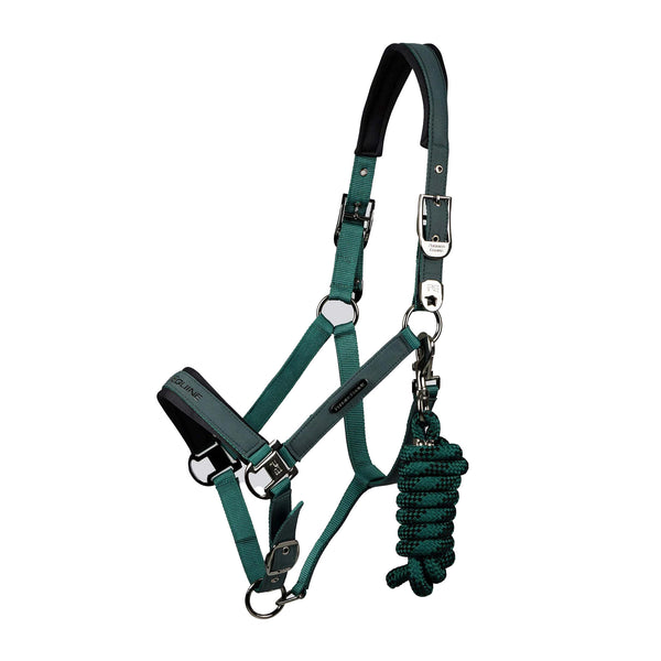 Premier Equine Duco Padded Head Collar with Lead Rope - Green