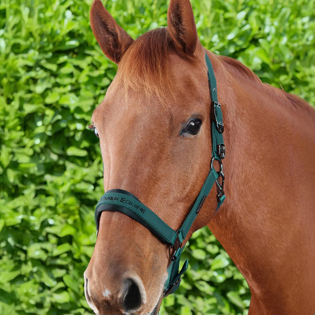 Premier Equine Duco Padded Head Collar with Lead Rope - Green